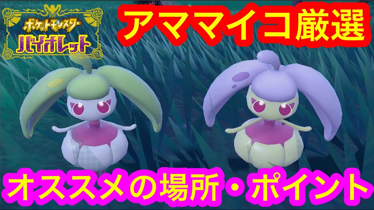 【ポケモンSV】かわいいアママイコの色違いが欲しい‼︎オススメの場所・方法をご紹介します！ #ポケモンSV  #厳選  #色違い