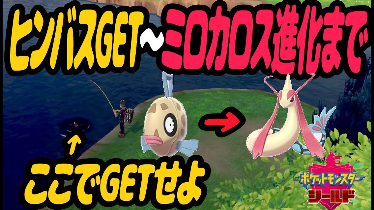 【ポケモン剣盾】ヒンバス入手方法～ミロカロス進化まで!【ポケットモンスターシールド】
