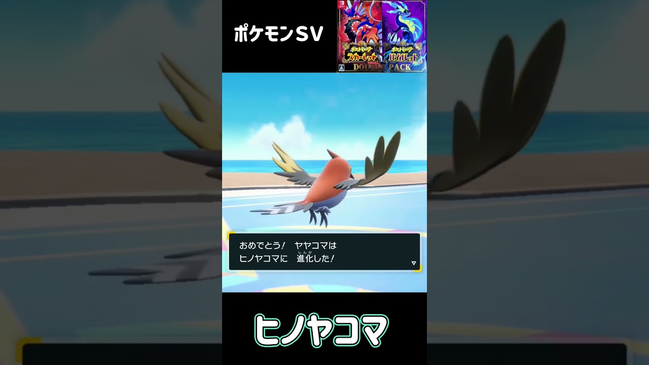 ポケモンＳＶ　ヤヤコマ進化　ヒノヤコマ進化　ファイアロー　Fletchling Fletchinder Talonflame Evolution