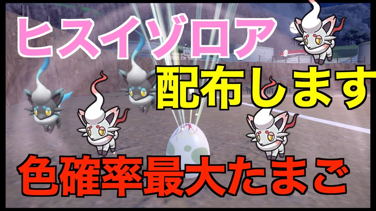 【ポケモンSV】５V以上確定ヒスイゾロアのタマゴ配布します！卵は国際孵化で光おま付きなので色出やすいかも！5人色違い出てます【ポケモン配布】