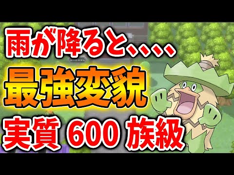 【ポケモン ダイパリメイク】雨パで真価を発揮するルンパッパの育成方法・技構成・努力値配分・性格【攻略/ブリリアントダイヤモンド・シャイニングパール／BDSP/厳選/アプデ/アップデート】