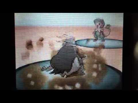 サマヨールの特性巡り