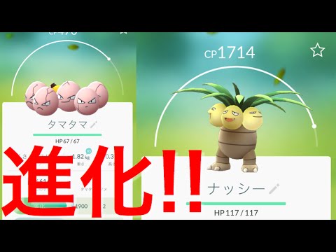 【ポケモンGO】ナッシーに進化！タマタマを進化させてみた！CP1600超え！【POKÉMON GO】