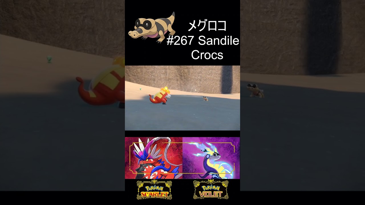 #267 Sandile メグロコ Pokémon Scarlet/Violet