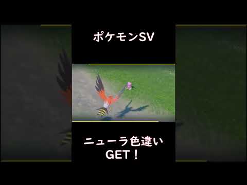 【ポケモンSV】ニューラ色違いGET #shorts