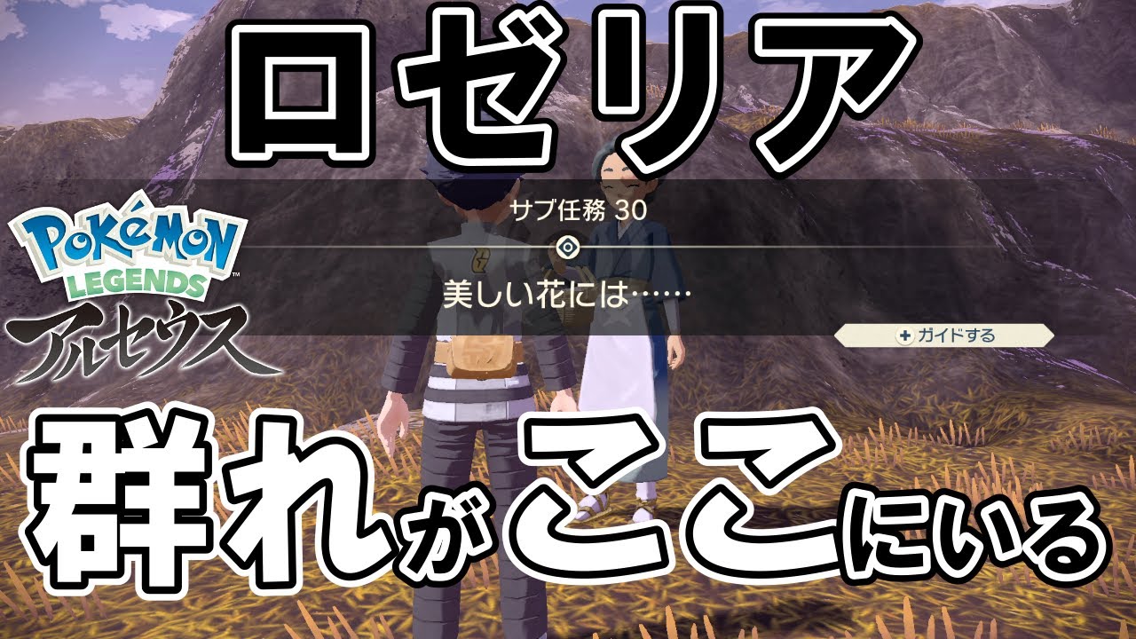 【サブ任務30】『美しい花には……』攻略【ポケモンレジェンズアルセウス】