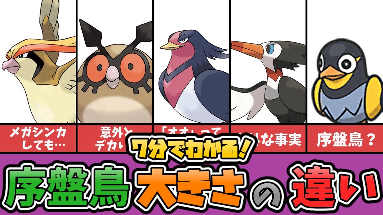 7分でわかる！序盤鳥大きさの違いまとめ【ポケモンゆっくり解説】【小ネタ】