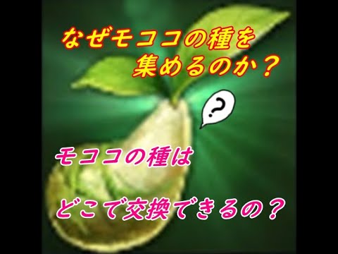 【ロストアーク】モココの種は集めたらどうしたらいいの？という方やロストアーク初見さん！ご参考にどうぞ！