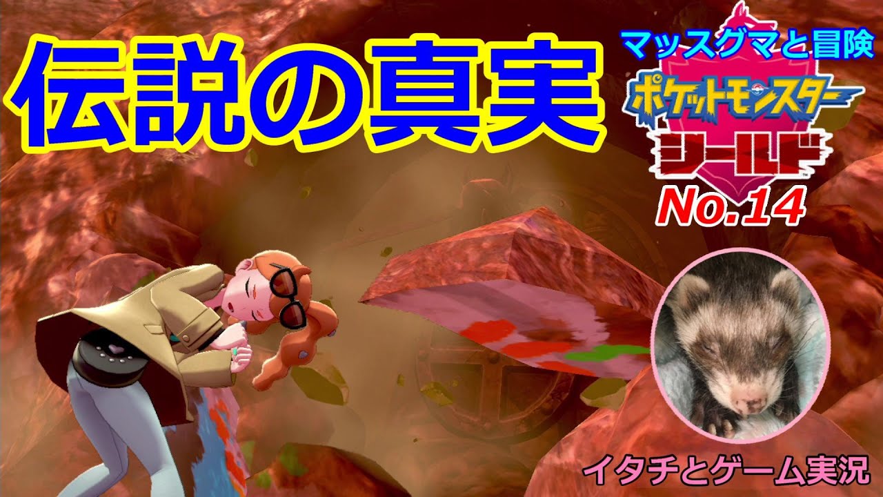 【ポケモン盾】マッスグマと冒険No.14【ガラル伝説の真実】