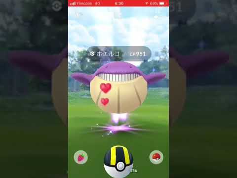 ポケモンGO  ムラサキ ホエルコ