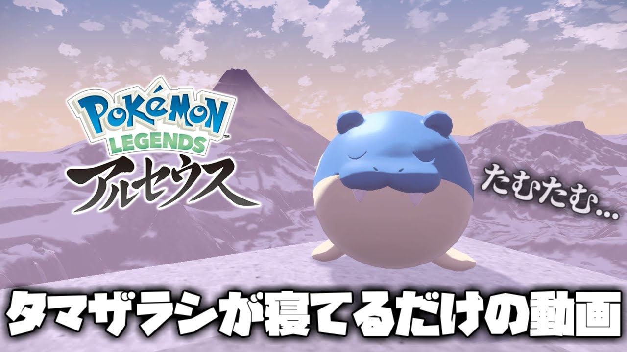 【作業用】タマザラシが1時間寝てるだけの動画【ポケモンLEGENDSアルセウス】