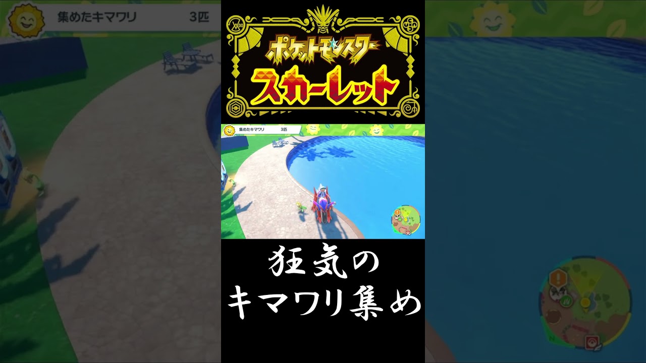 【恐怖】狂気のキマワリ集め　【ポケモンSV】#shorts