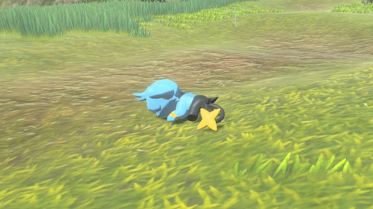 コリンクの生態（黒曜の原野） /  Shinx ecology【#PokemonLEGENDS】