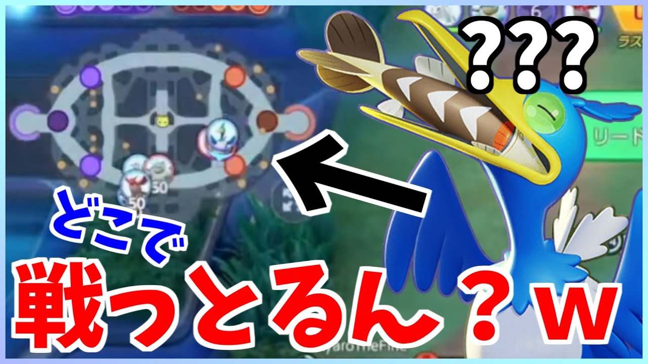 これがウッウ専用のサンダー戦だよ