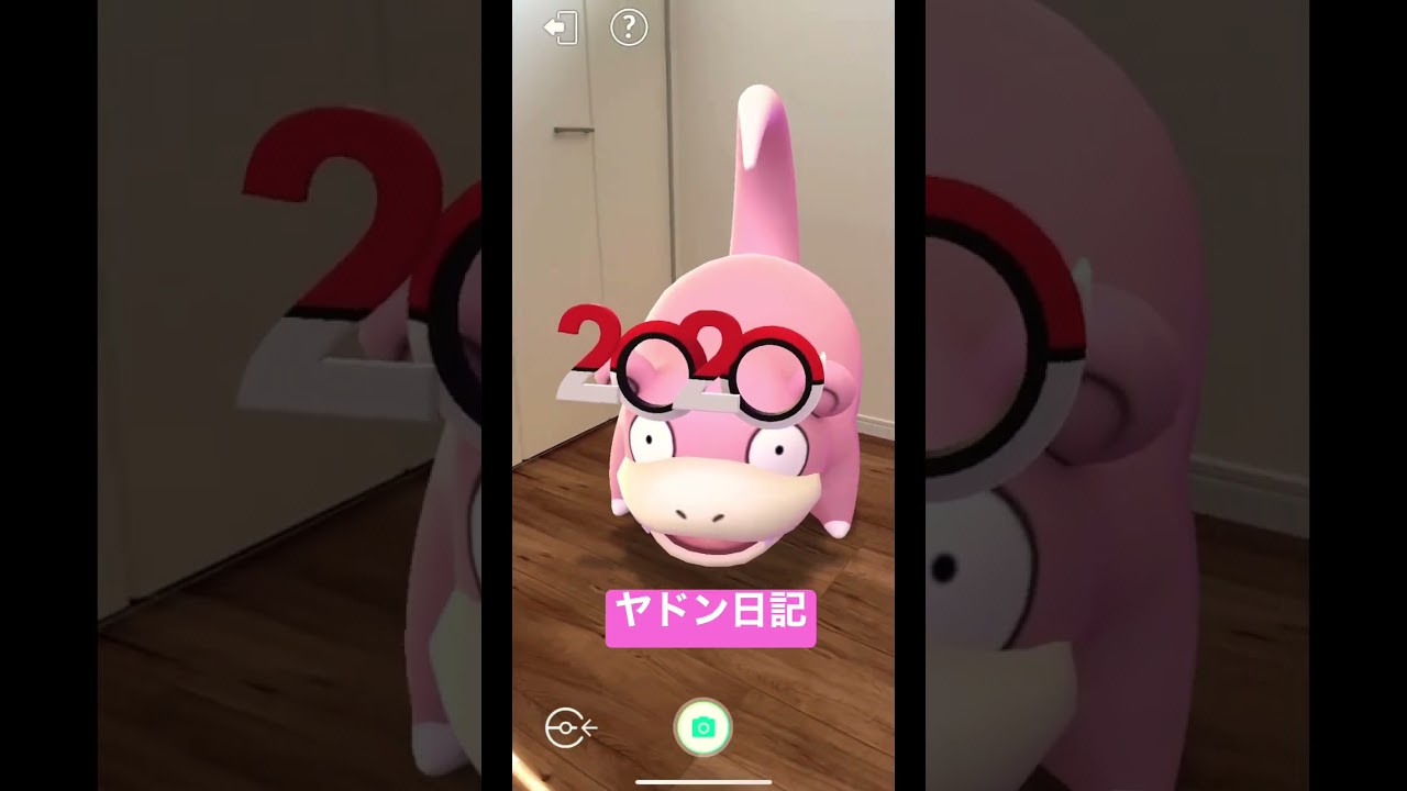 今日のヤドン日記