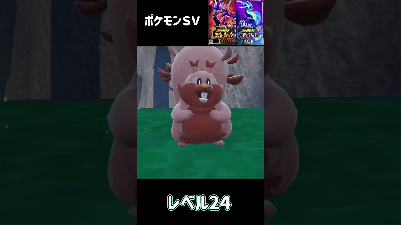 ポケモンＳＶ　ホシガリス進化　ヨクバリス　Greedent Skwovet