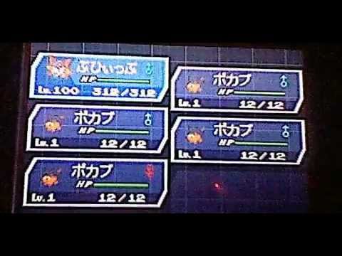 後ポカブ光沢のある147個の卵