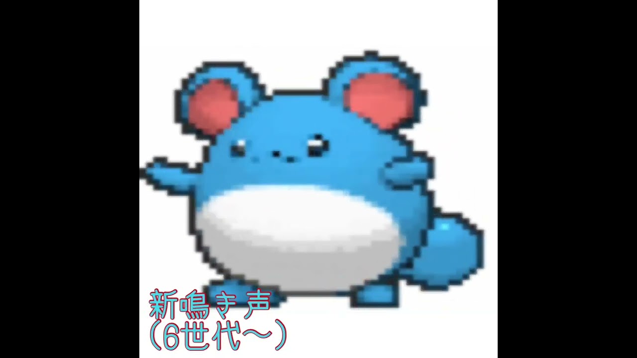 マリル　鳴き声