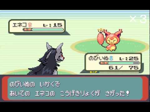 【ポケモン縛り】愛犬ポチエナ（グラエナ）とホウエン地方を制覇の旅 Part.6【ゆっくり有】