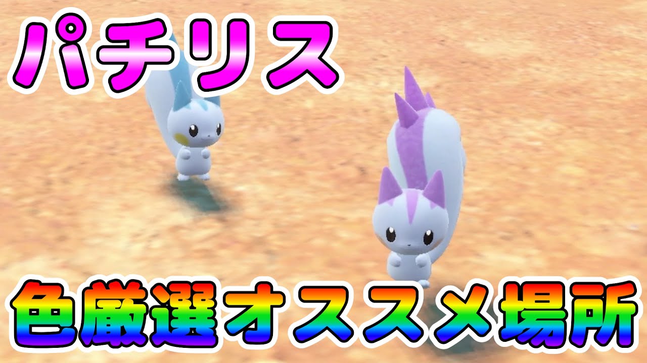【色厳選】パチリスの色厳選オススメ場所！遭遇しにくいパチリスが効率良く湧く場所を紹介！【ポケモンSV】