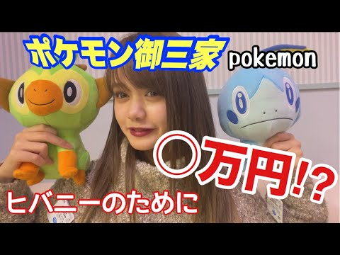 【ポケモン剣盾】後編　100回やってもヒバニーがとれない