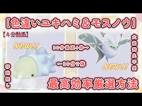 30分最高4体 色違いユキハミ・モスノウ最高効率厳選方法4分動画 　#ポケモンsv #色違い #ユキハミ #モスノウ