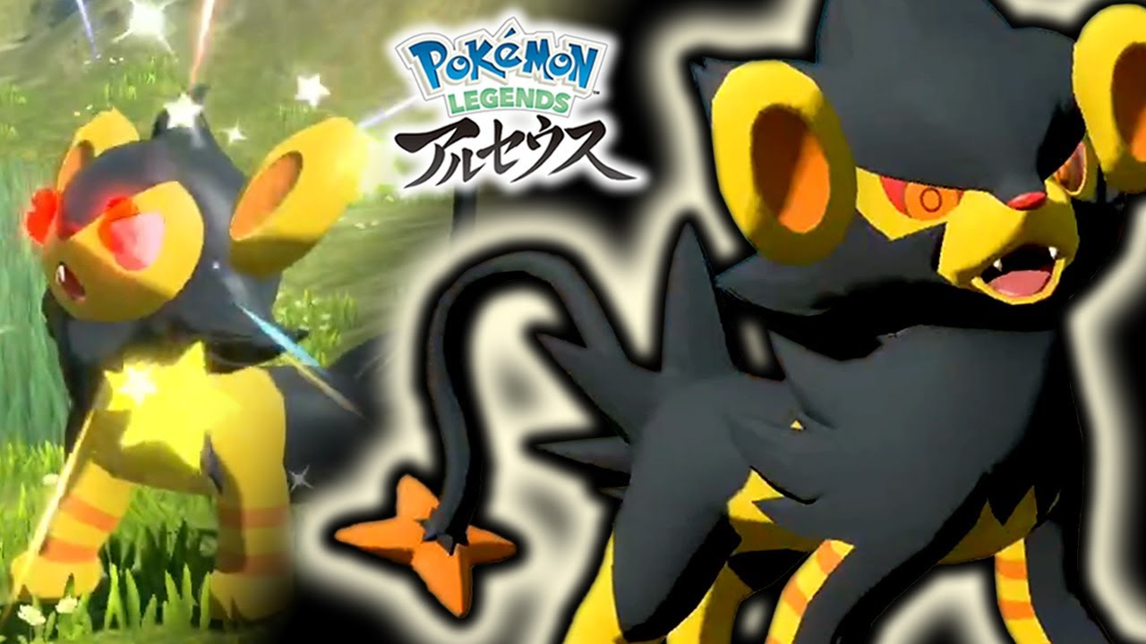 【色違いオヤブン】悲劇のレントラーとの再会【大大大発生 / ポケモンレジェンズアルセウス Pokémon LEGENDS アルセウス】