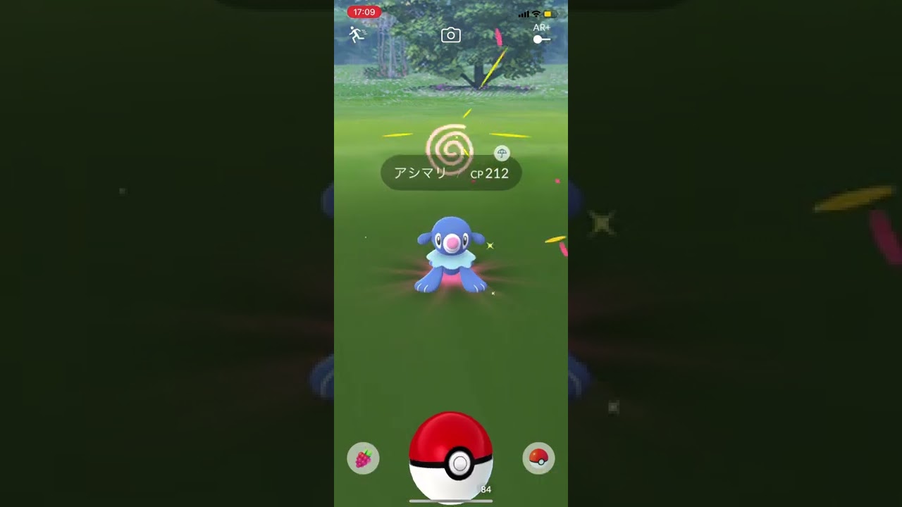 またなアシマリ#ポケモンgo