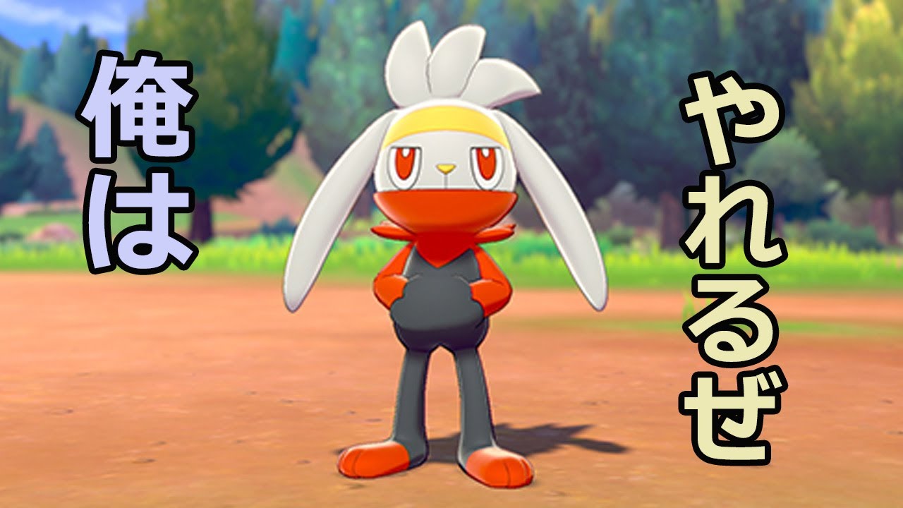 おれ、ラビフット【ポケモン剣盾】