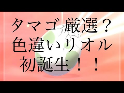 【ポケモン剣盾】タマゴ 厳選？色違いリオル初誕生！ #shorts