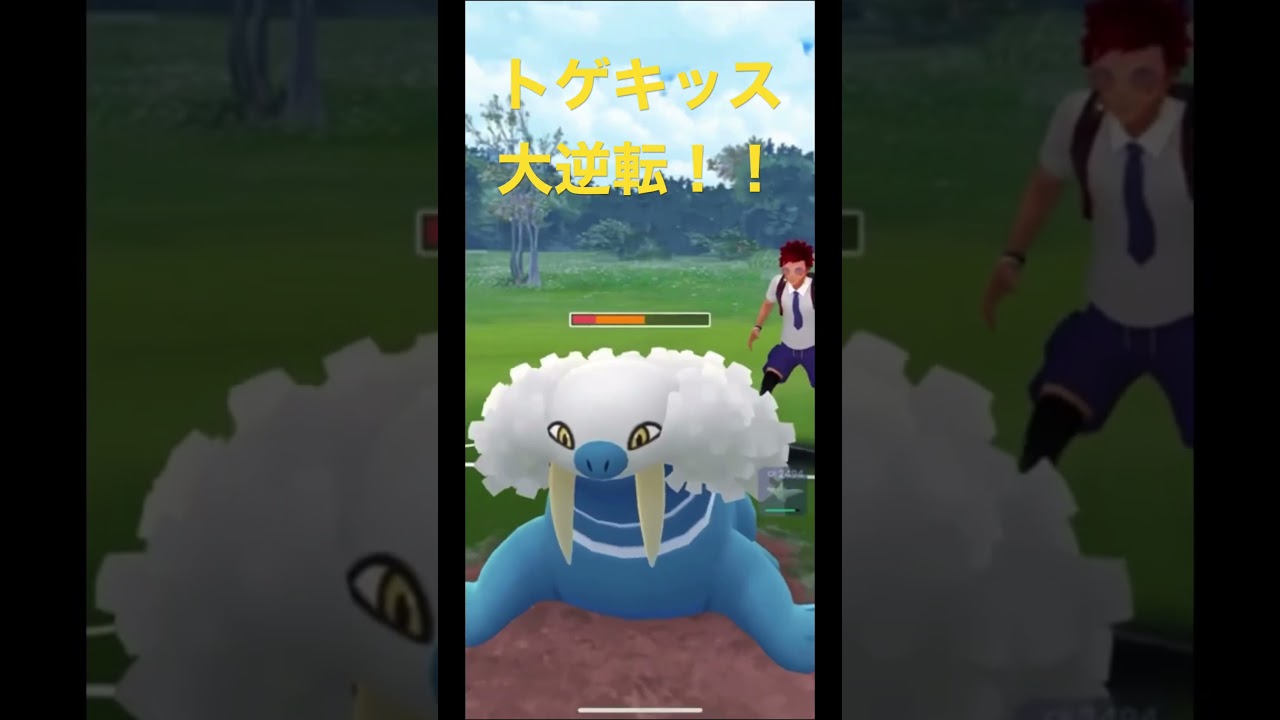 トゲキッス大逆転！！【Togekiss】