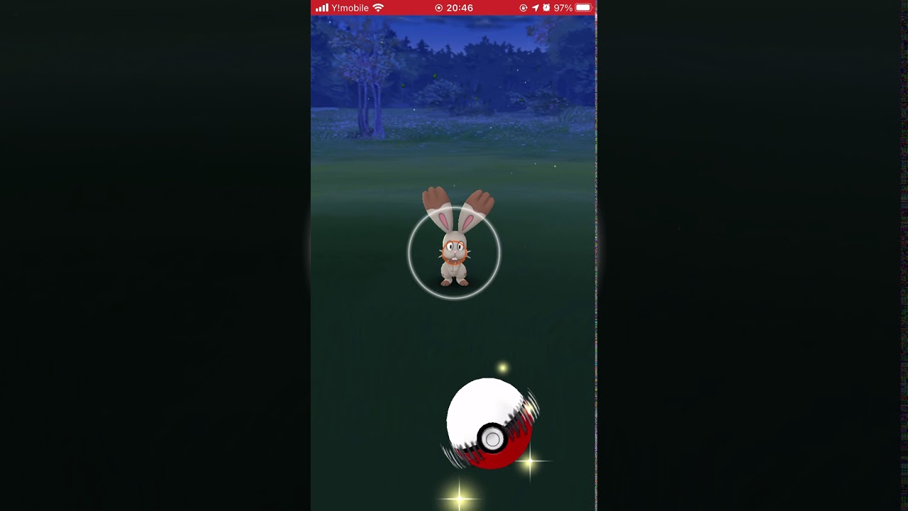 【ポケモンGO】ホルビー初ゲット