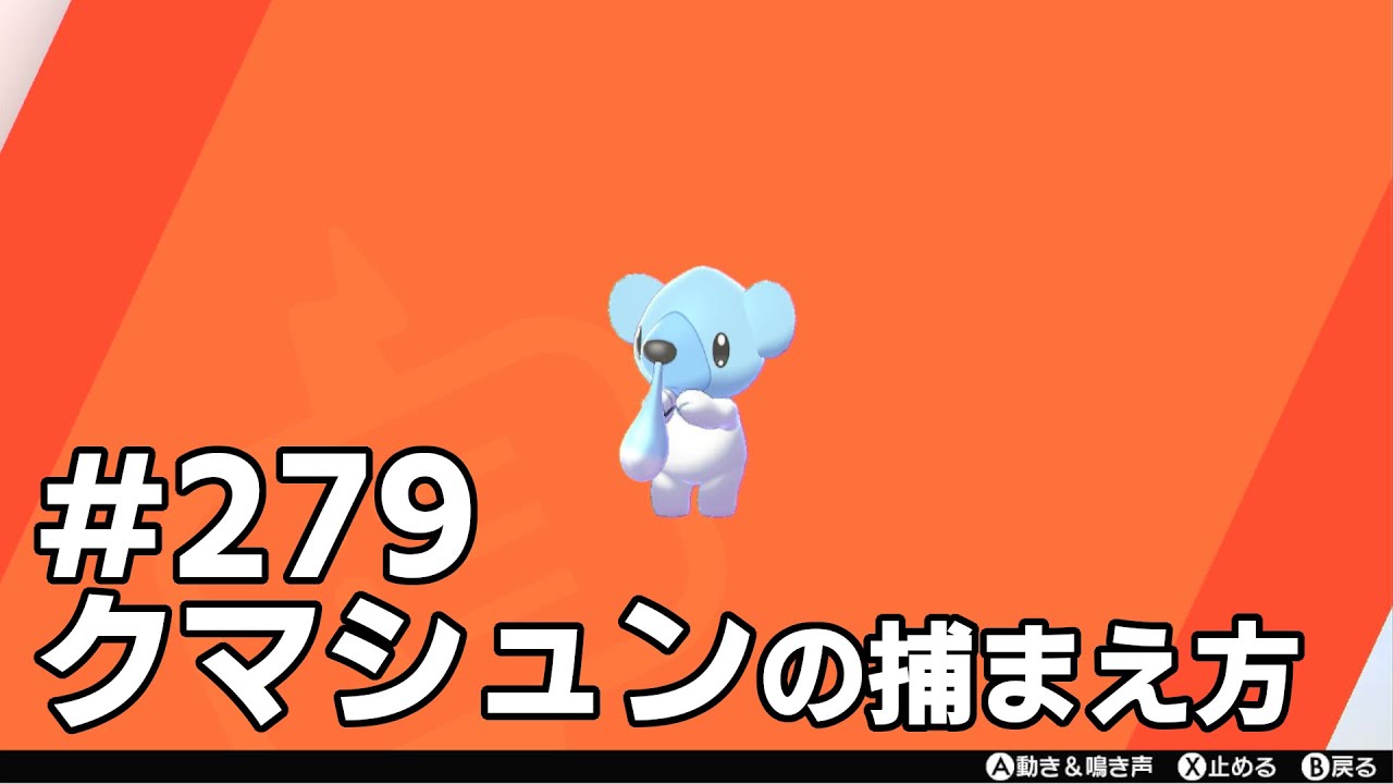 クマシュンを探している方に見てほしい動画