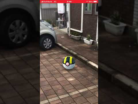 ポケモンGO パッチール