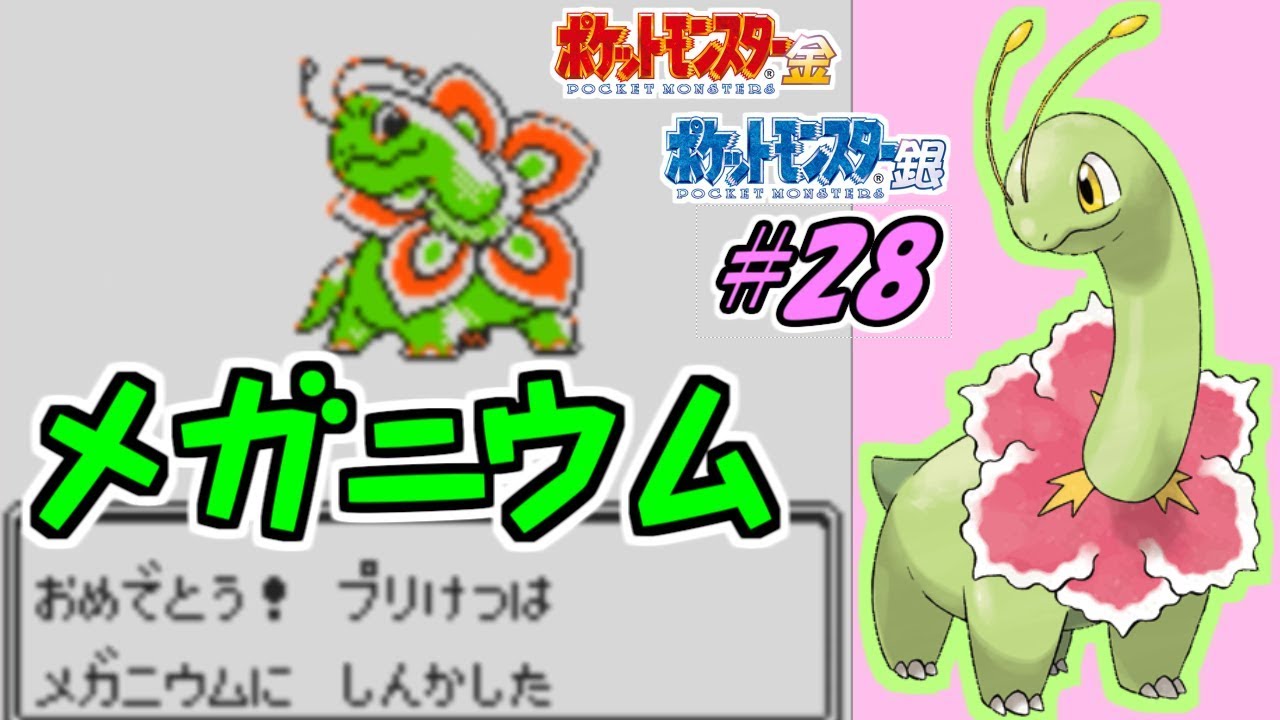 逆境に咲く花、メガニウム。 ポケットモンスター金 実況プレイ#28【ポケモン金銀VC/かわいいポケモン縛り】