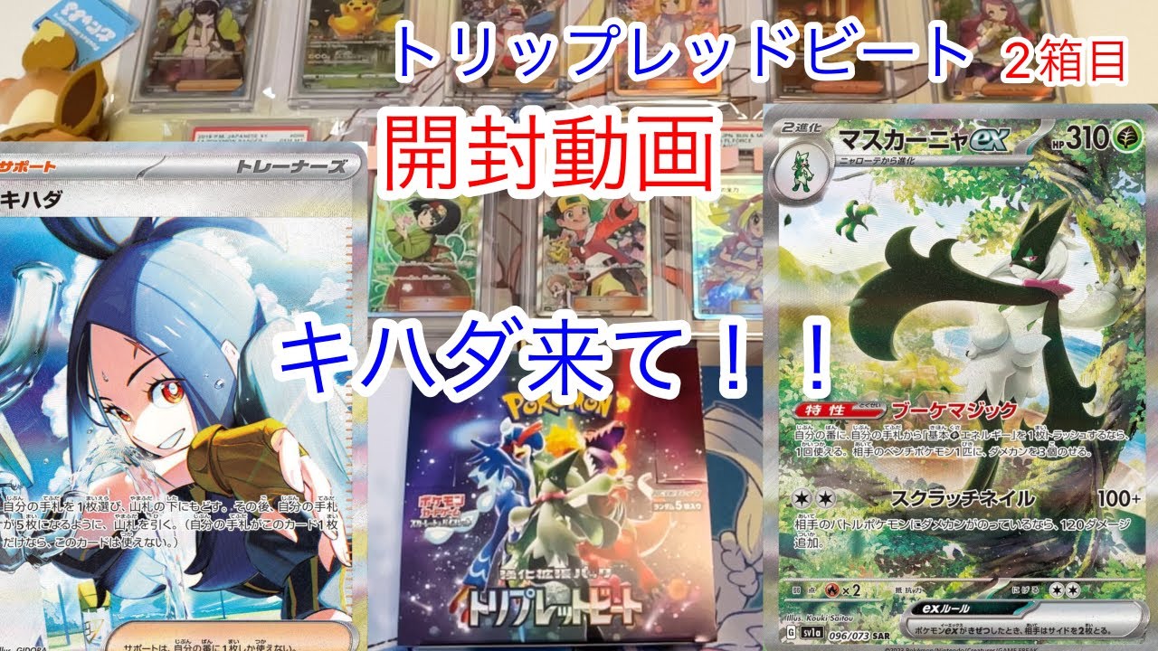 【ポケカ】キハダ来て！！トリップレッドビート1ボックス開封(2箱目)【スカーレット&バイオレット】