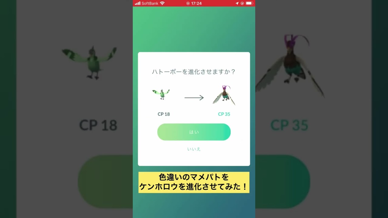 色違いのマメパトをケンホロウに進化させてみた！ #ポケモンgo #色違い