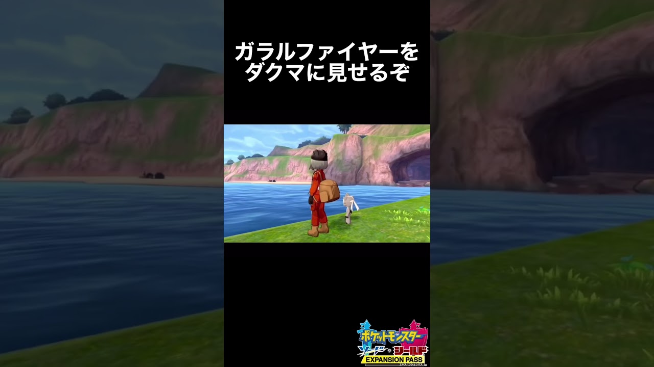 ガラルファイヤーをダクマに見せるぞ【ポケモン剣盾】#小ネタ #検証 #shorts