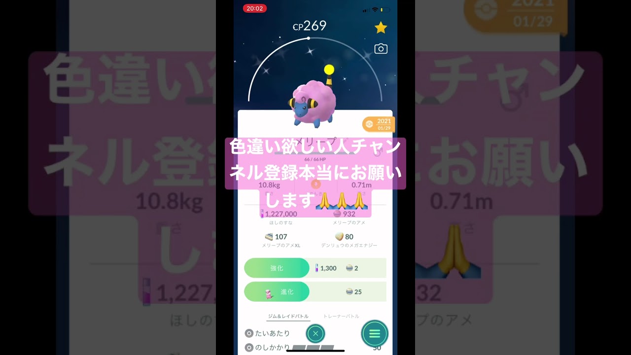 メリープ→色違いメリープ音ハメ編集 #shorts #short #ytshorts #ポケットモンスター #ポケモン #ポケgo #色違い #色違いポケモン #pokemongo #pokemon