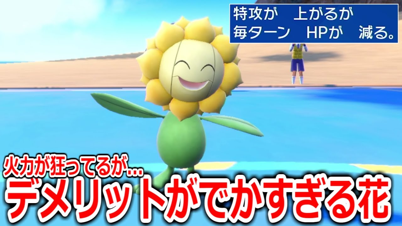 デメリット大でおぞましい火力を出す「キマワリ」とかいうポケモンを使ってみたら凄すぎた。【ポケモンSV実況】