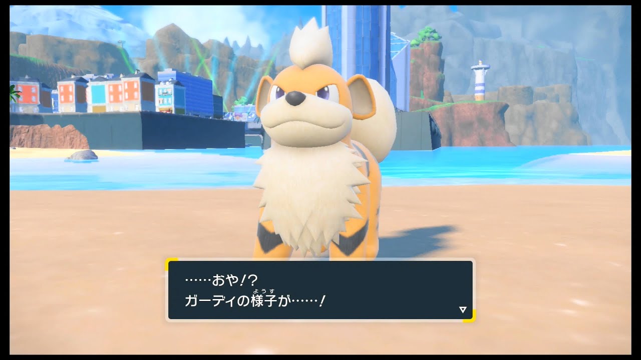 SVのポケモン　ガーディ 〇〇〇のいしを つかって進化 だぜ！