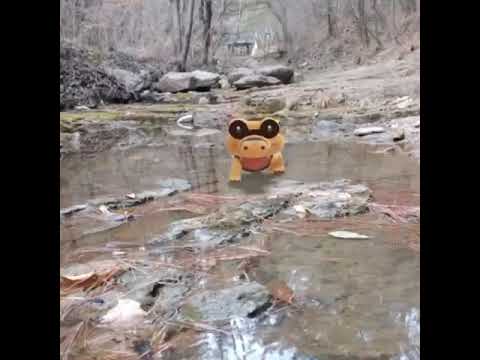 깜눈크 ( Sandile ) メグロコ ( 黑眼鱷 )