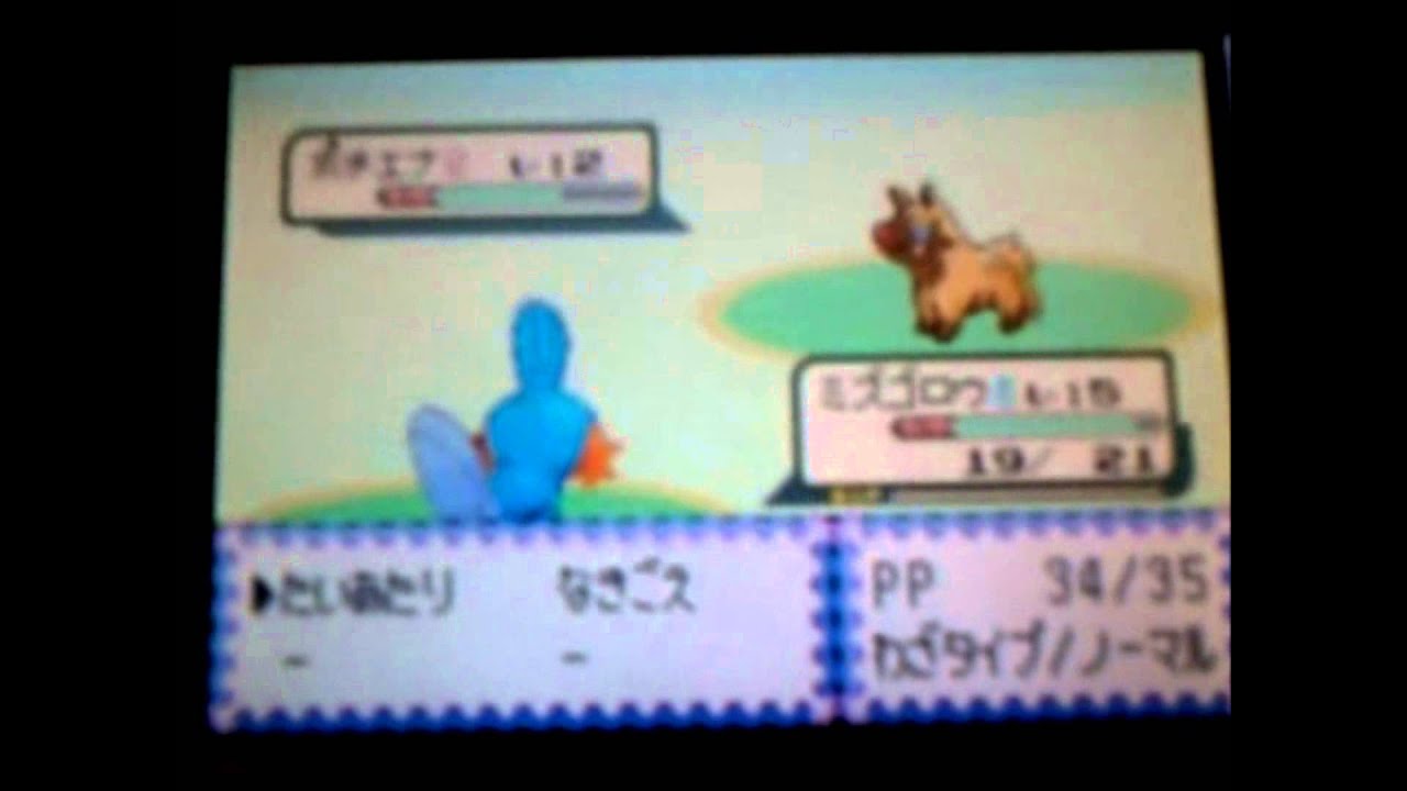 LIVE!!! 2nd Uncatchable Shiny Poochyena ポチエナ after 1901 SR's on JP.Ruby