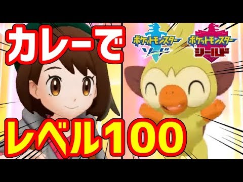 【ポケモン剣盾】カレーだけでポケモンをレベル100にした！！！