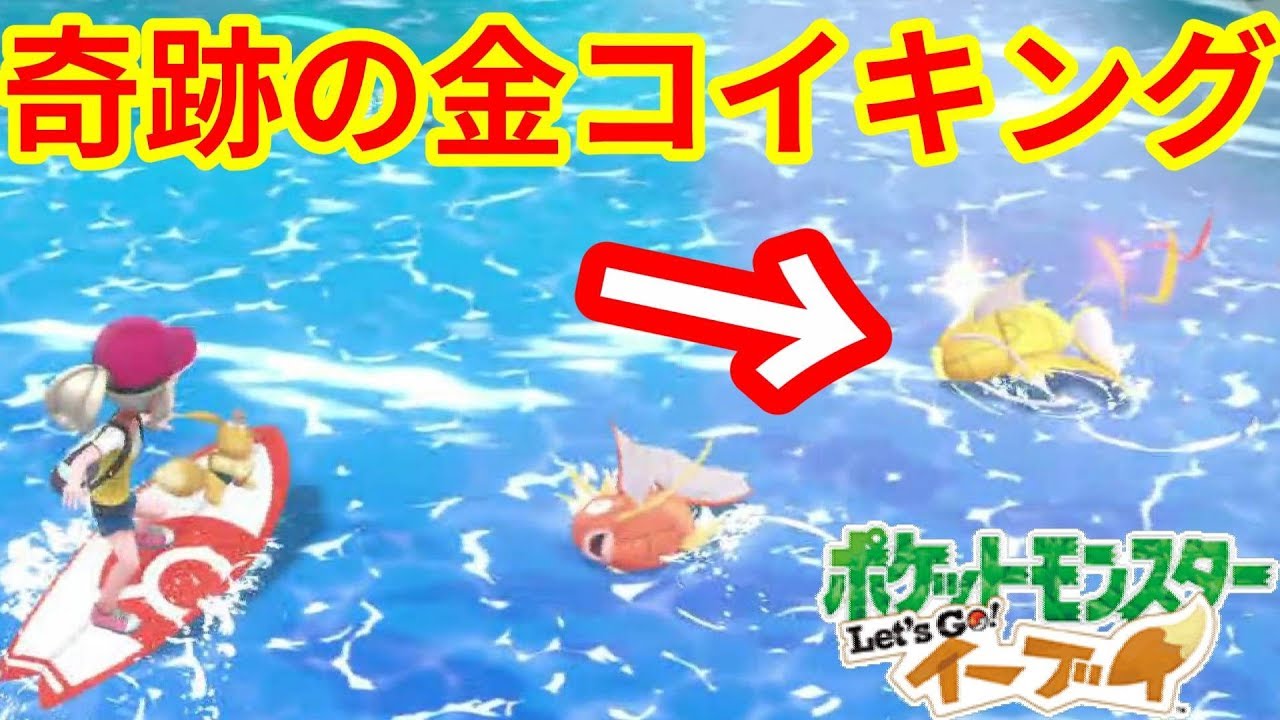夢の金のコイキングきたー！！陸上でついてくるけど大丈夫！？【ポケモンLet'sGO！イーブイ】