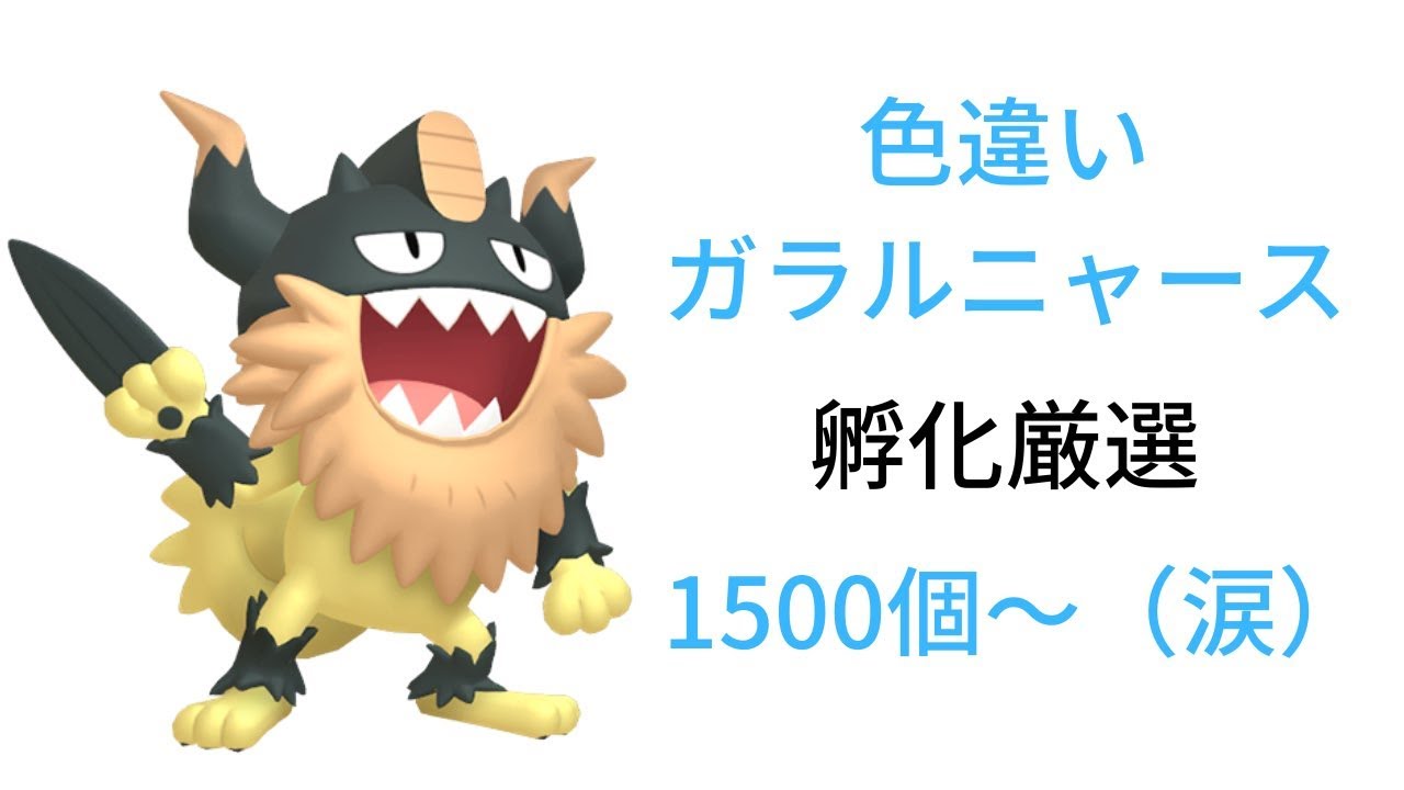 【ポケモンSV】色違いガラルニャースを求めて　1600個～【初見さん歓迎】