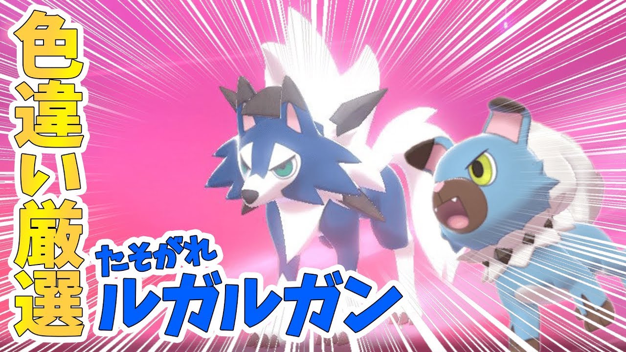 初見歓迎 色違いたそがれルガルガン(イワンコ)出るまで寝れません！雑談しつつ。【ポケモン剣盾】しろーん