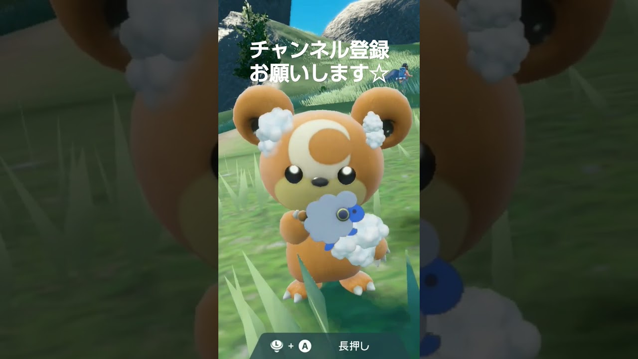ポケモンSV ヒメグマを洗ってあげたら、とっても嬉しそうに喜んでくれた☆