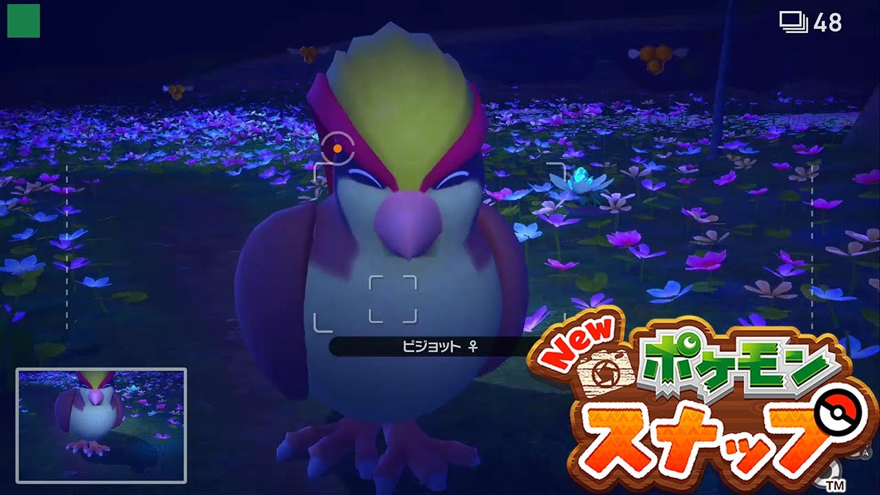 【ピジョット】笑顔の条件 リクエスト 攻略 【New ポケモンスナップ ニンテンドースイッチ】
