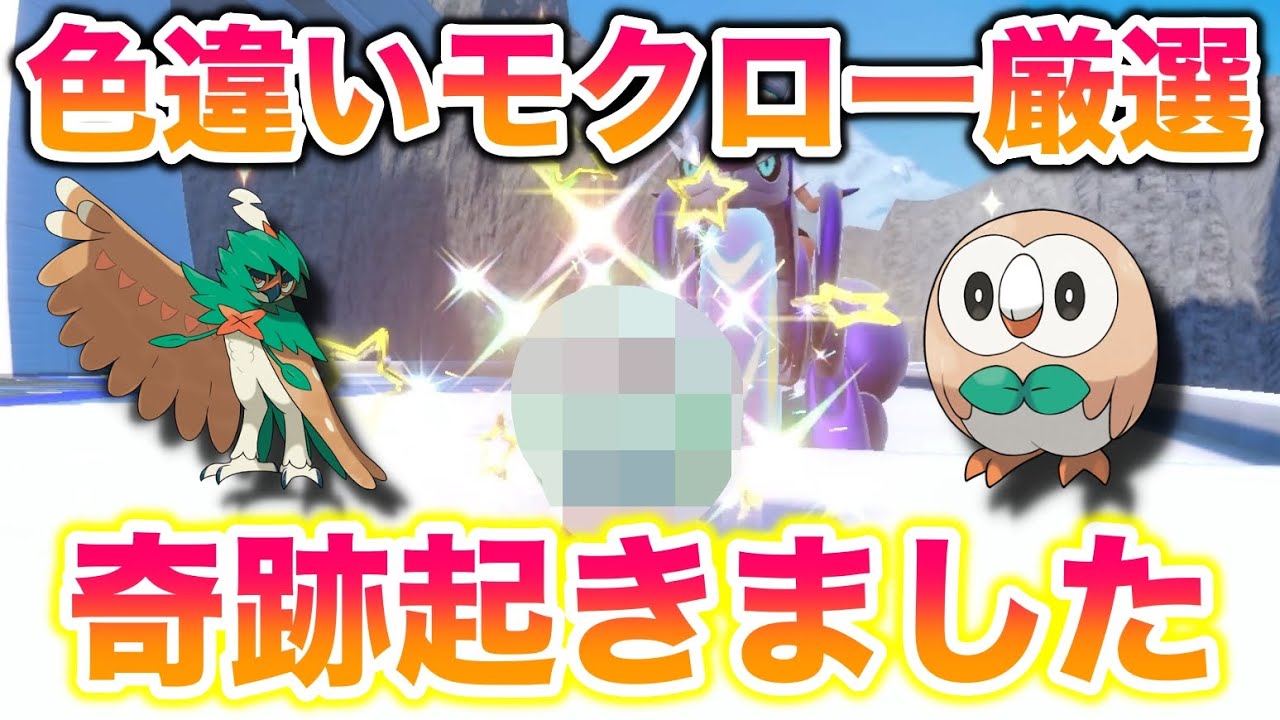 【豪運】モクロー(ジュナイパー)の色違い孵化厳選してみたら奇跡が起きたんだがww【ポケモンSV/スカバイ】